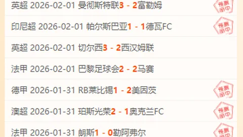 罗塞尼尔解析：恩佐对话与质合分析大乐透期号推荐